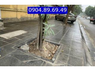 Bó vỉa bê tông 10x15 cm